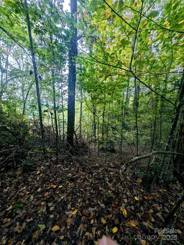 $95,000 | 0 Luxury Lake, Unit 5A/6A/7A, Hendersonville, NC 28739