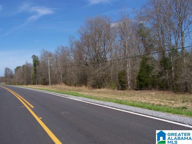 0 Mitchellville Road, Unit ACREAGE Lincoln, AL 35096 - Photo 1 of 19
