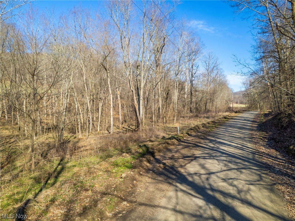 Hill Road Newcomerstown, OH 43832 - Photo 20 of 35 Gallery Image 20