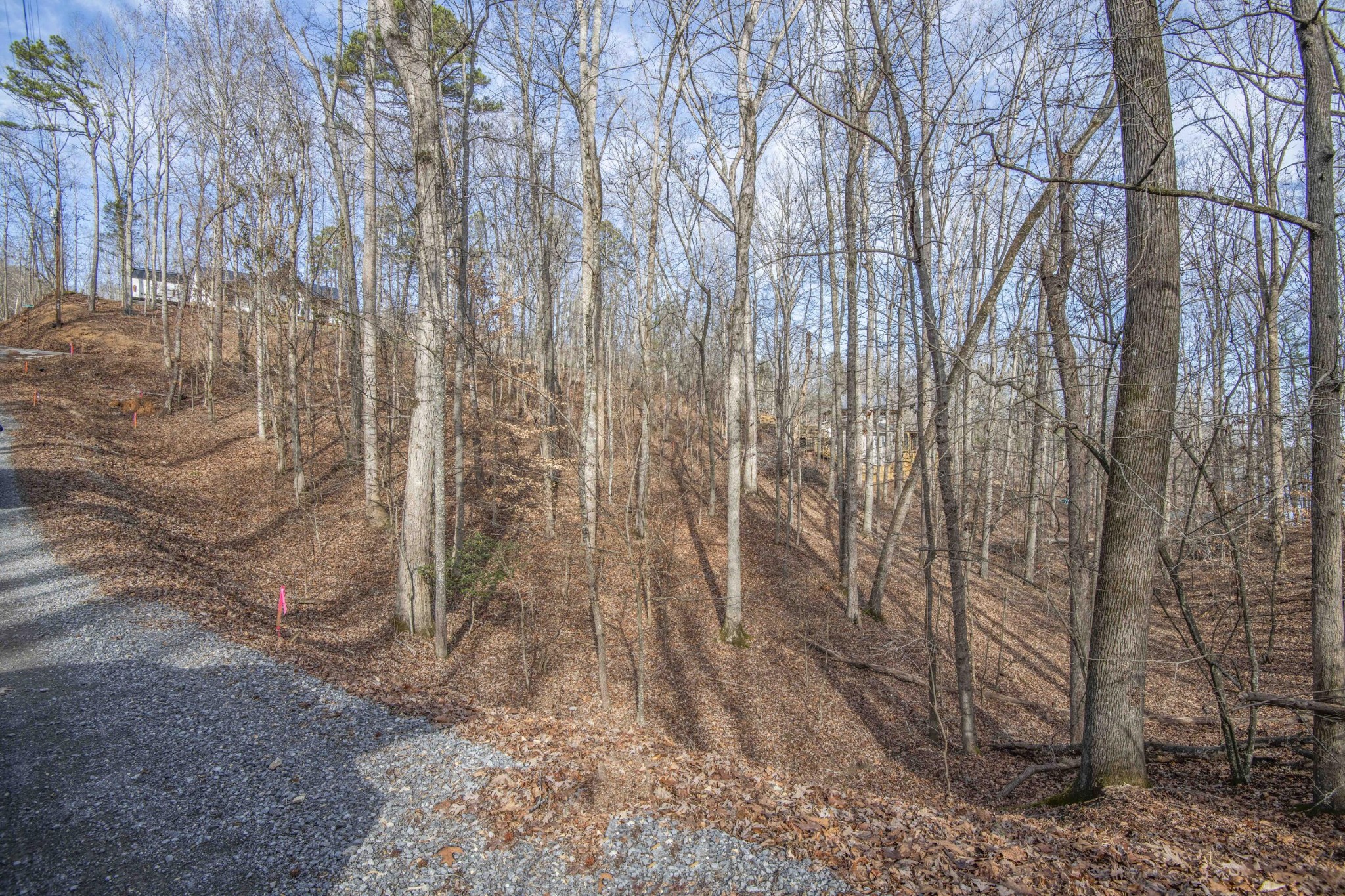 0 Sunset Court Spring City, TN 37381 - Photo 11 of 27 Gallery Image 11