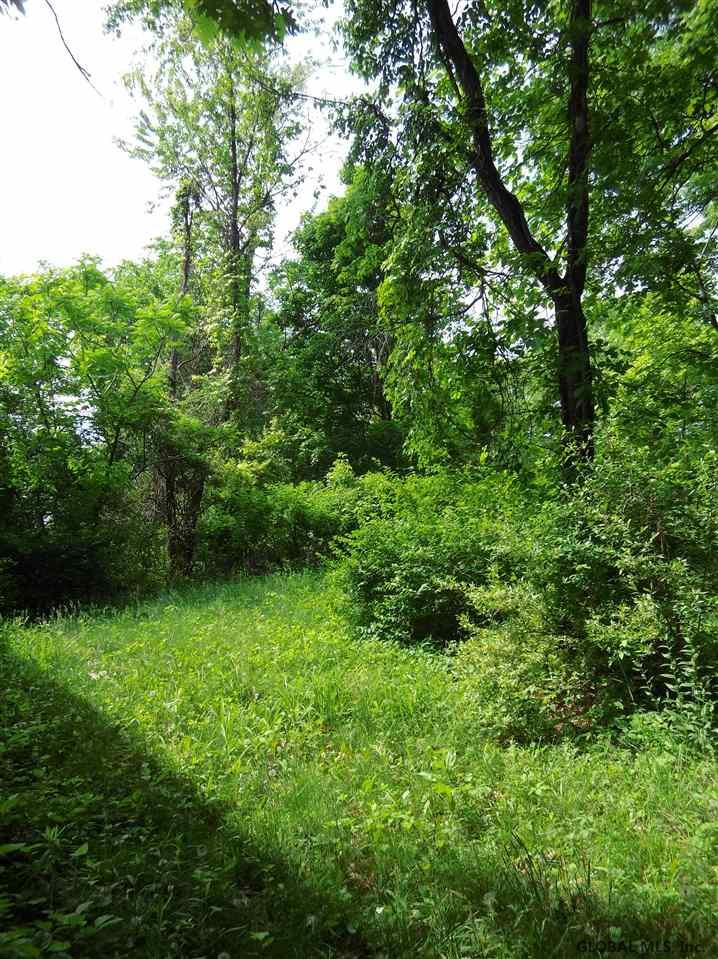 0 Chapel Road Valatie, NY 12184 - Photo 3 of 9 Photo 4