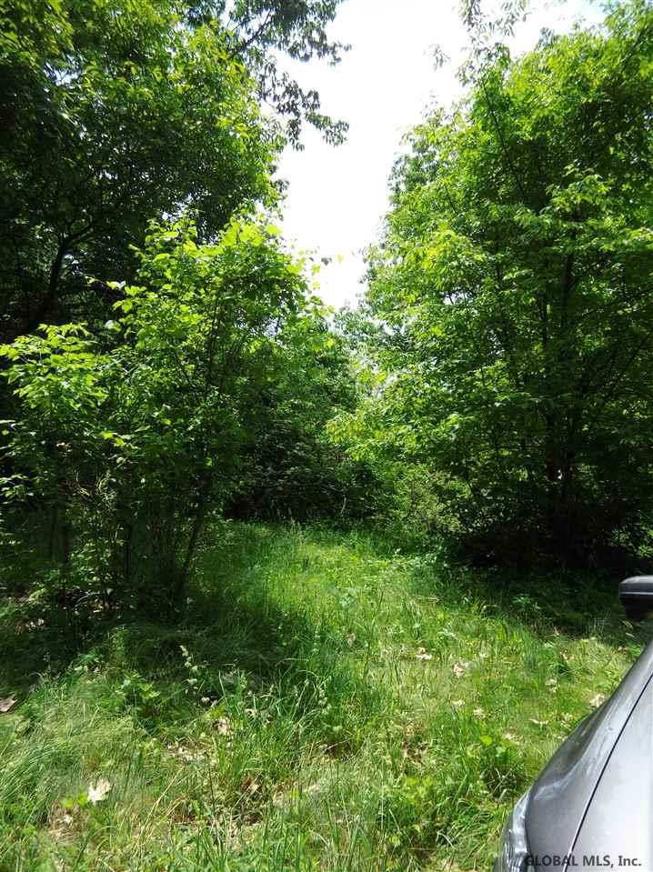 0 Chapel Road Valatie, NY 12184 - Photo 4 of 9 Photo 5