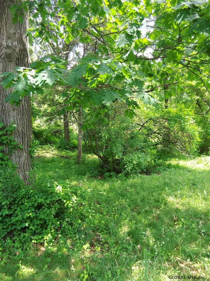 0 Chapel Road Valatie, NY 12184 - Photo 6 of 9 Photo 7