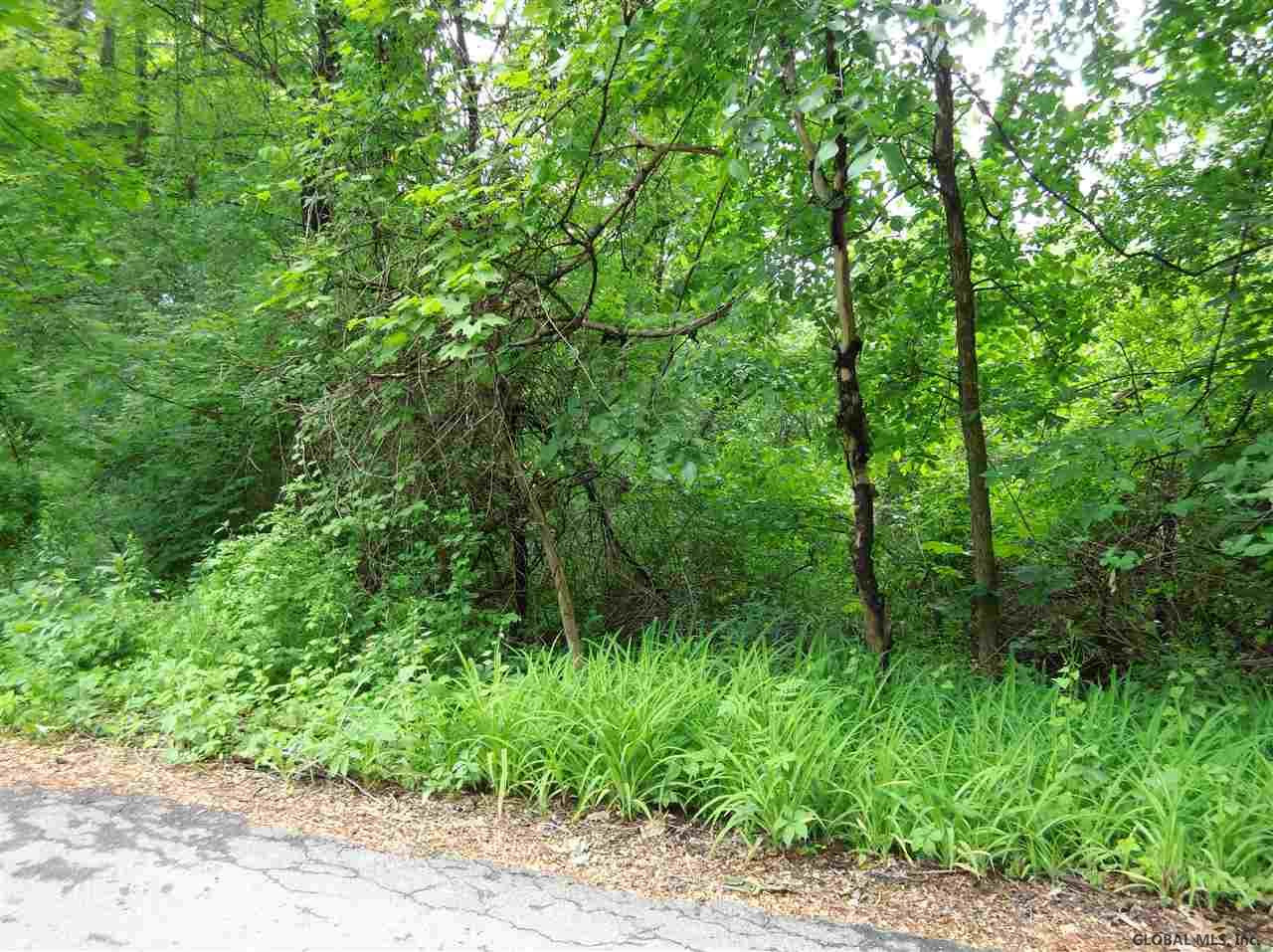0 Chapel Road Valatie, NY 12184 - Photo 7 of 9 Photo 8