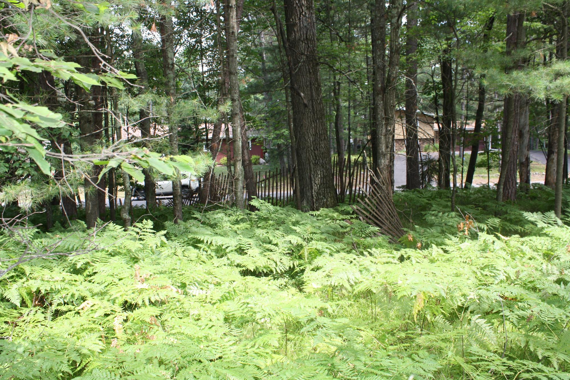 9421 Country Club Road, Unit MI3841 Minocqua, WI 54548 - Photo 4 of 9 Gallery Image 4