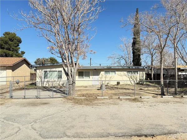 a view of a yard with large tree