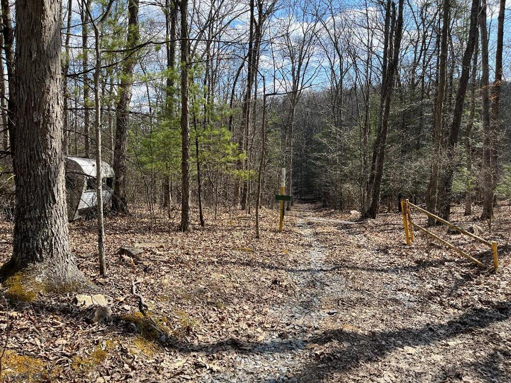 4-acres Leading Ridge Road Petersburg, PA 16669 - Photo 1 of 7