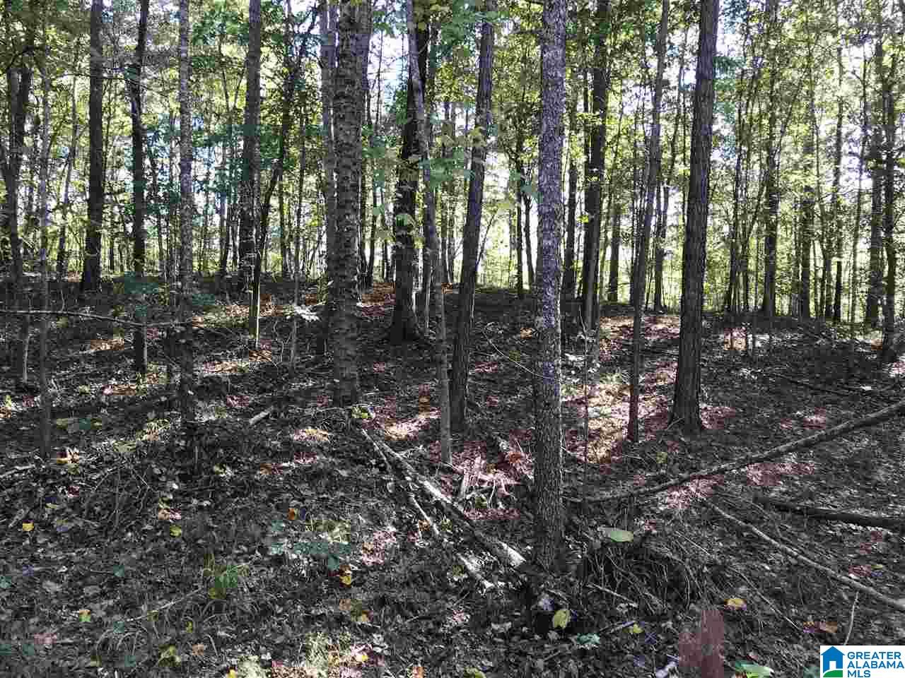 0 County Road 546 Verbena, AL 36091 - Photo 8 of 13