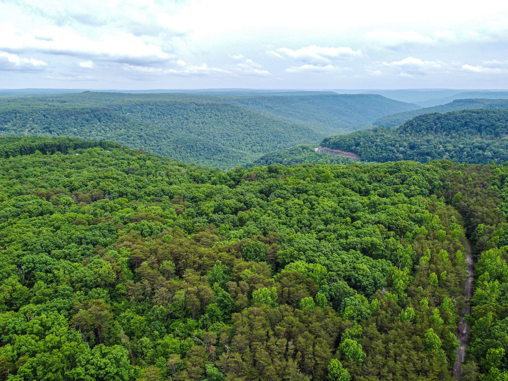 0 Eagle Point Road Monteagle, TN 37356 - Photo 3 of 10 Gallery Image 3