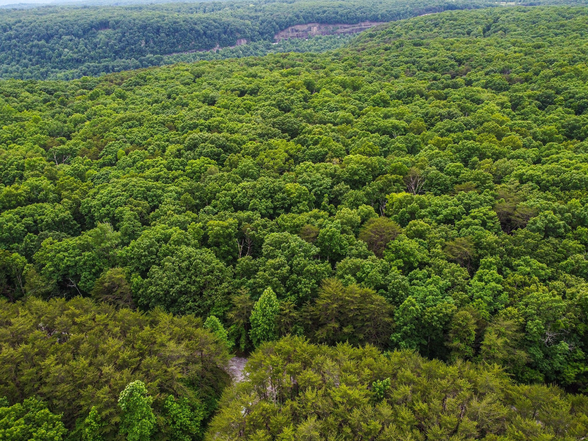 0 Eagle Point Road Monteagle, TN 37356 - Photo 9 of 10 Gallery Image 9