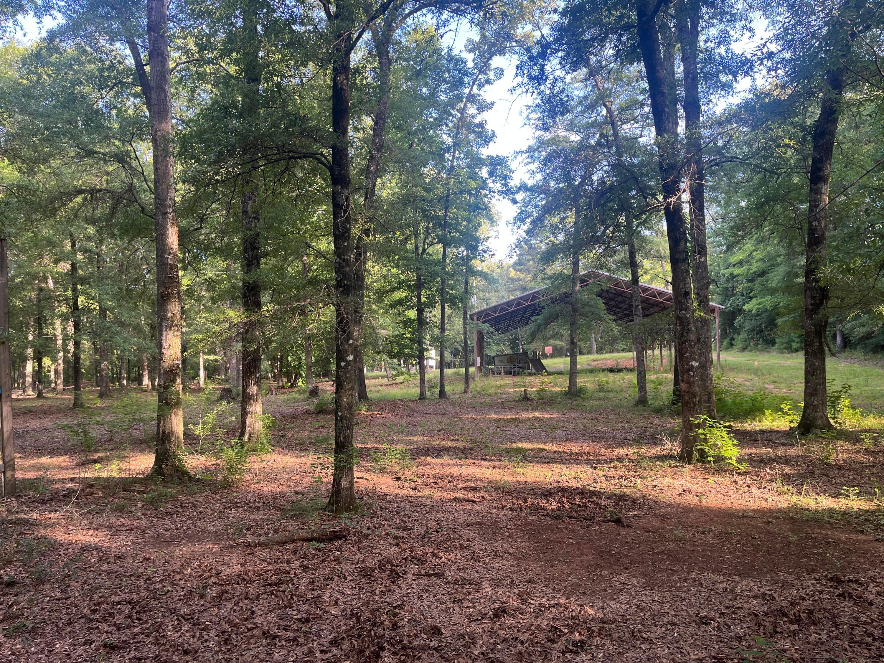 1001 Rose Road Nauvoo, AL 35578 - Photo 2 of 16 Gallery Image 2