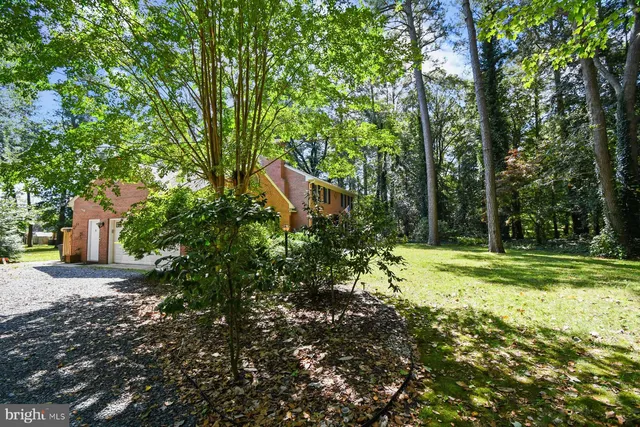 a view of a park with large trees