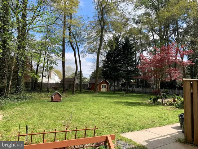 a view of a tree in front of a house with a yard