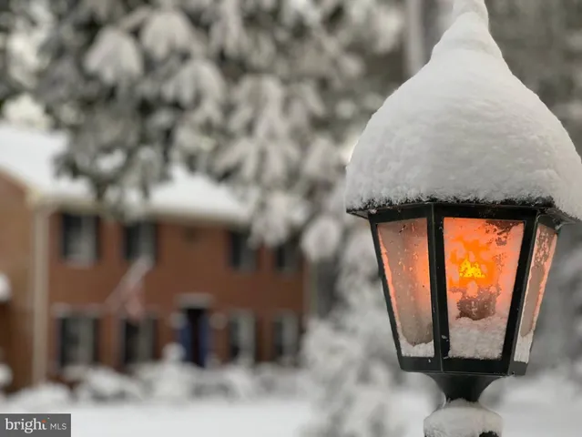 a view of a garden with trees