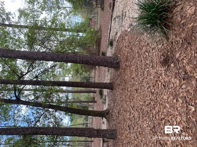 3817 Riviere Du Chien Road Mobile, AL 36693 - Photo 35 of 44