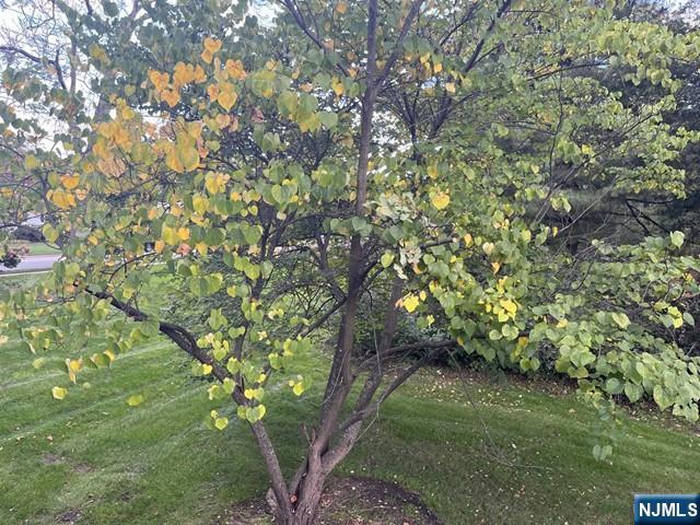 300 Harristown Road, Unit 1 Glen Rock, NJ 07452 - Photo 15 of 20 a backyard of a house with lots of green space