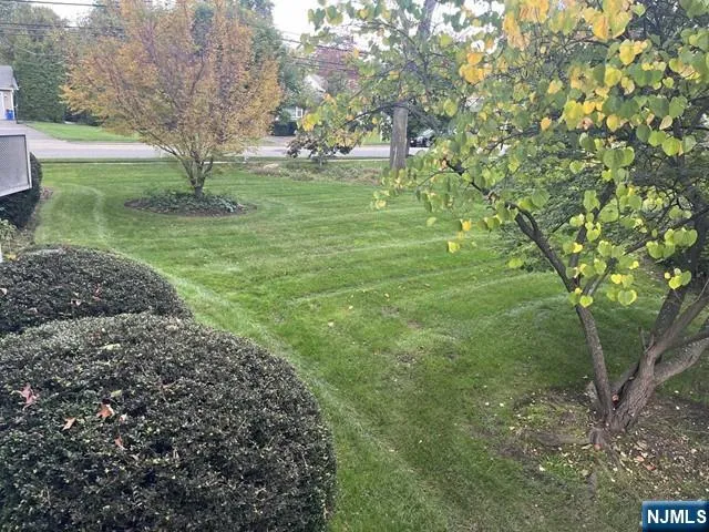 a view of backyard with green space