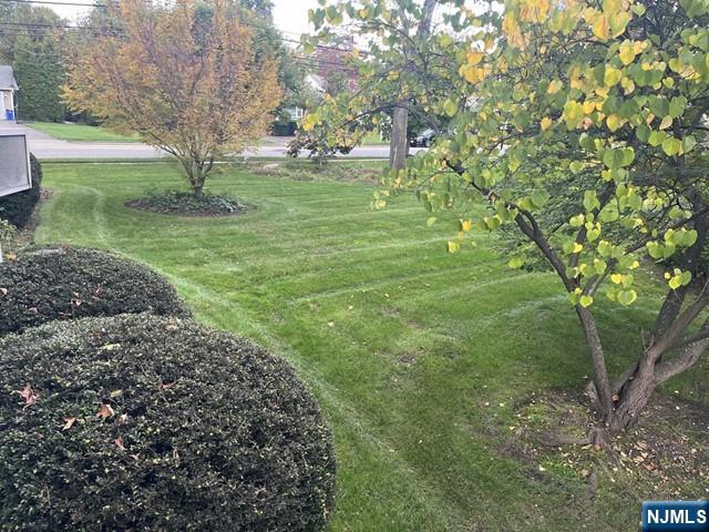 300 Harristown Road, Unit 1 Glen Rock, NJ 07452 - Photo 17 of 20 a view of backyard with green space