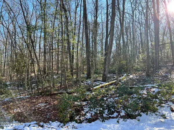 $13,500 | Lot 762 Mountain Snow Circle, Tafton, PA 18464