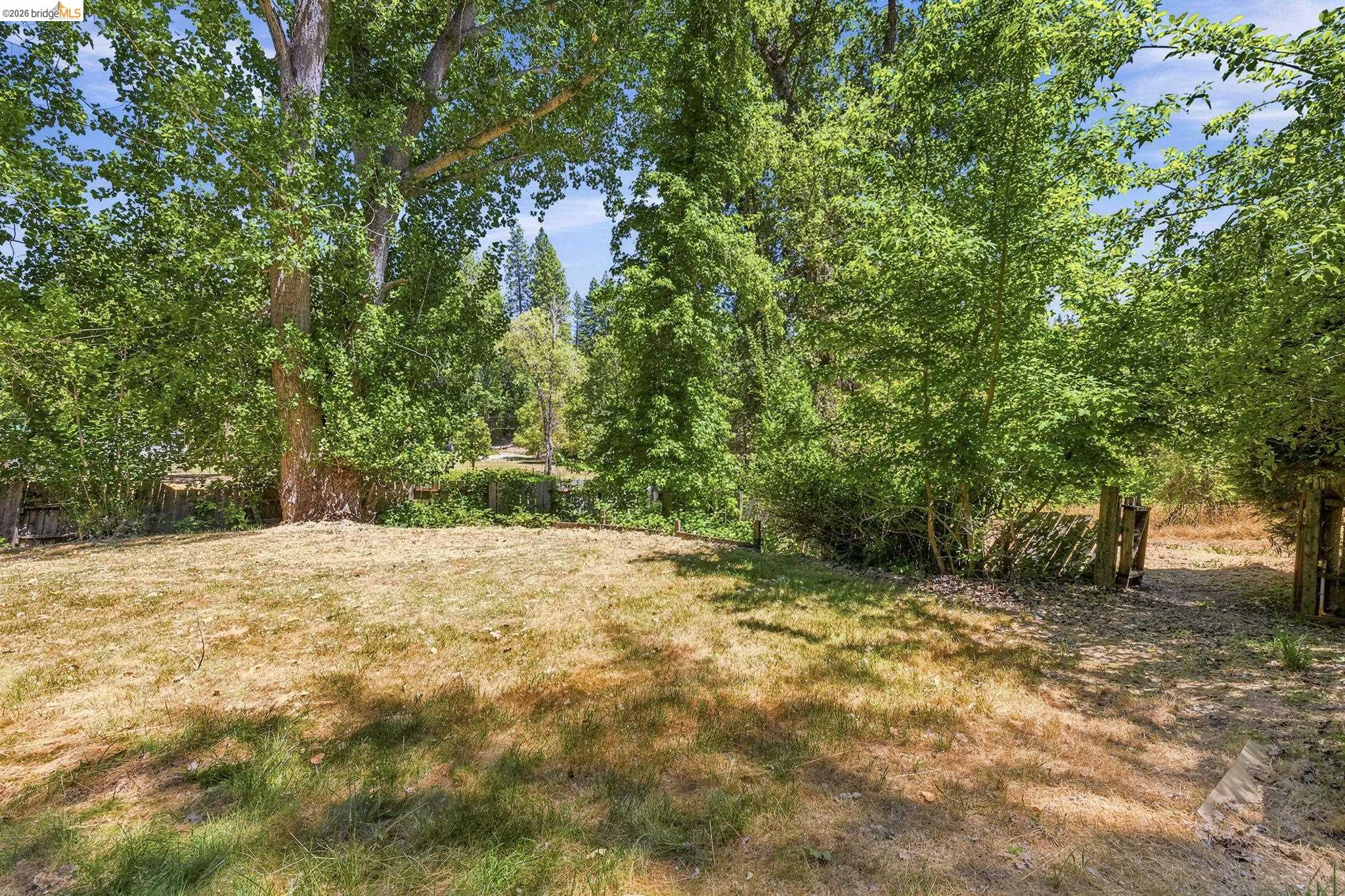 22401 South Fork Road Sonora, CA 95370 - Photo 4 of 34 Expansive outdoor space featuring mature trees and a partial wood fence line