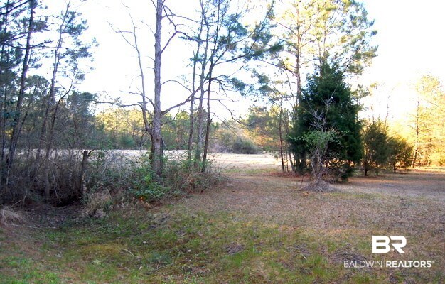 12050 Mary Ann Bch Road Fairhope, AL 36532 - Photo 14 of 44
