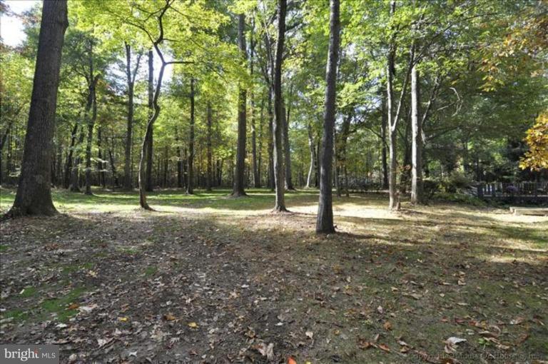 4810 Damascus Road Laytonsville, MD 20882 - Photo 21 of 30 Treed acreage offers plenty of privacy