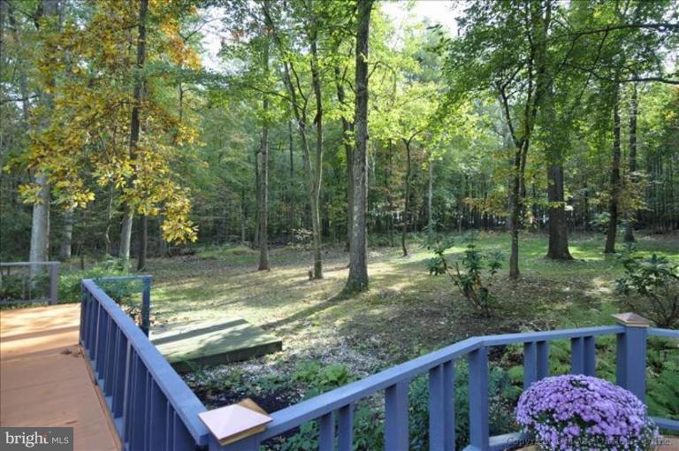 4810 Damascus Road Laytonsville, MD 20882 - Photo 6 of 30 Backyard view from expansive Deck