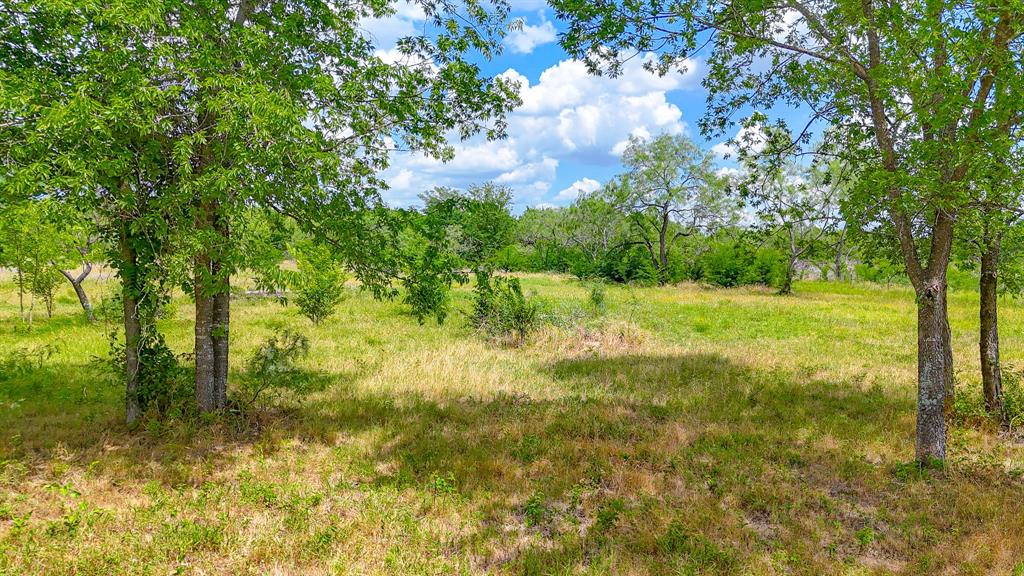 Lot 123 Palmito Ranch Road Corsicana, TX 75110 - Photo 15 of 23 a view of outdoor space and yard
