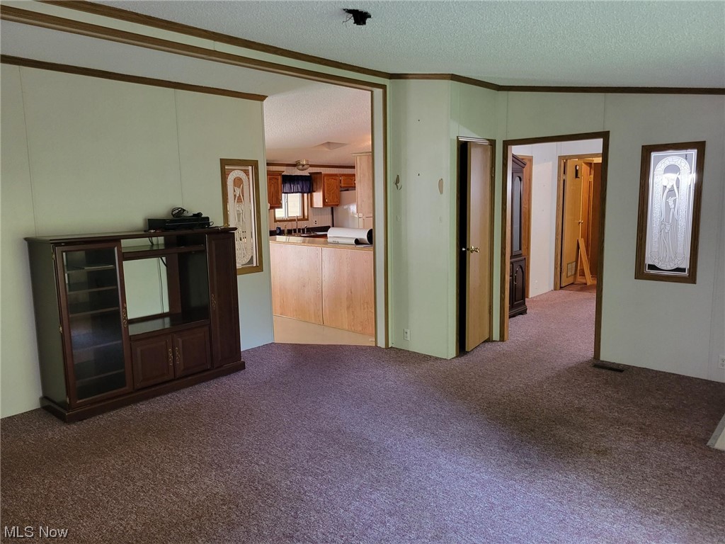2450 Ferguson Road McConnelsville, OH 43756 - Photo 3 of 13 Carpeted spare room with a textured ceiling, vaulted ceiling, and ornamental molding
