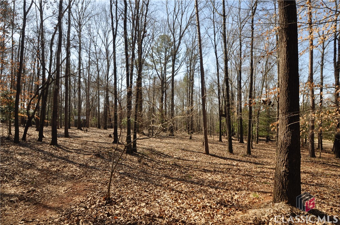 830 Big Bear Road Bogart, GA 30622 - Photo 55 of 64 Gallery Image 55