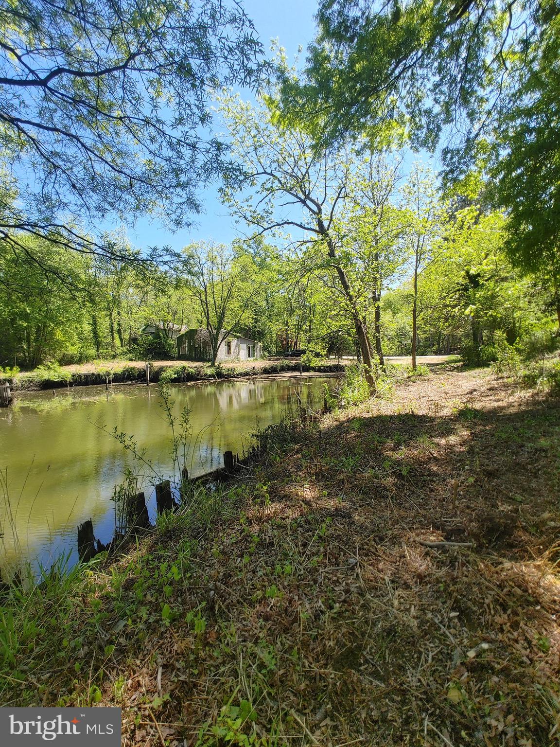 4180 Shoreham Beach Road Edgewater, MD 21037 - Photo 20 of 26 a view of a lake with a yard