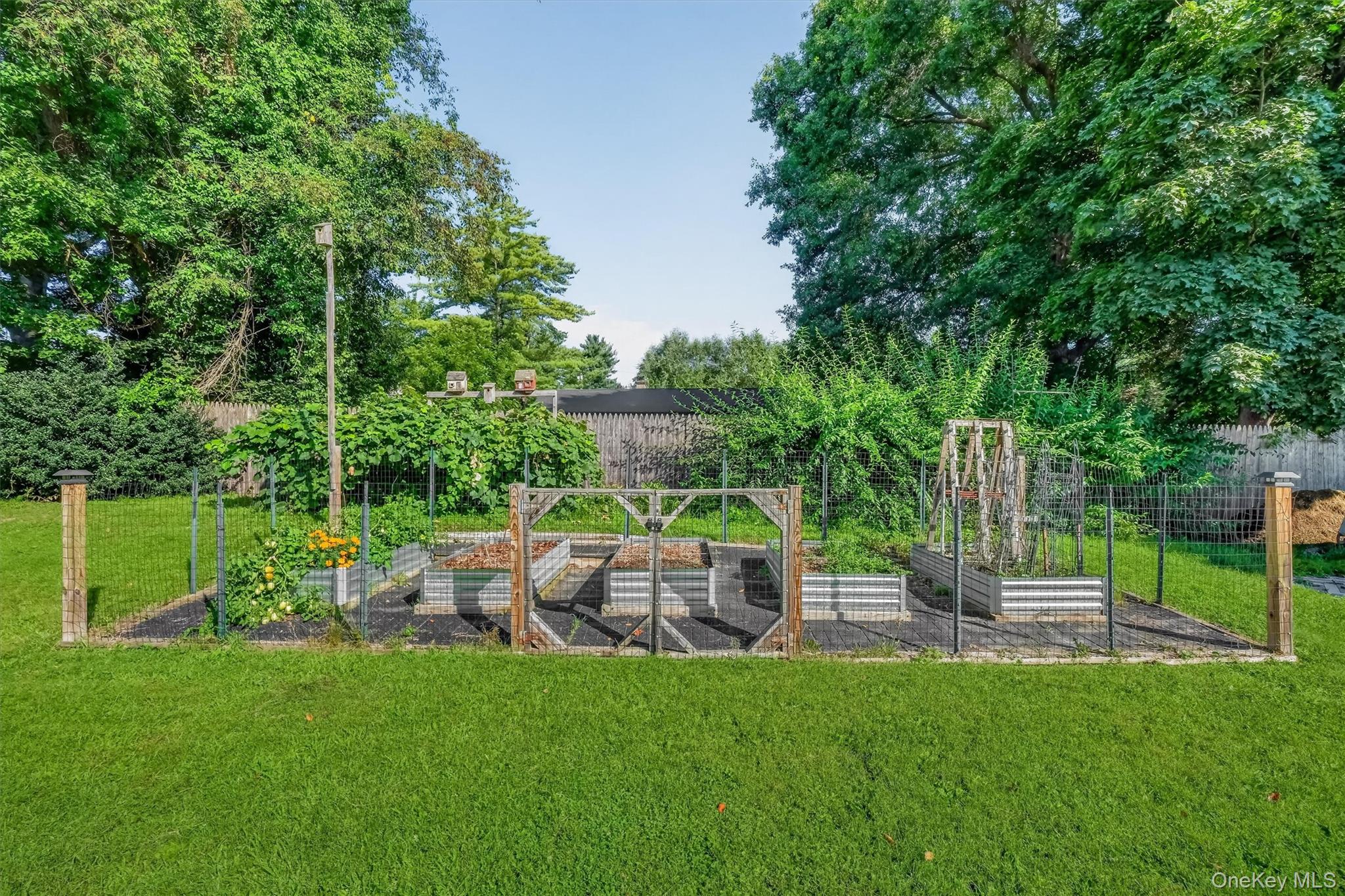 17 North Jackson Road Poughkeepsie, NY 12603 - Photo 43 of 49 Think "Farm to table"!