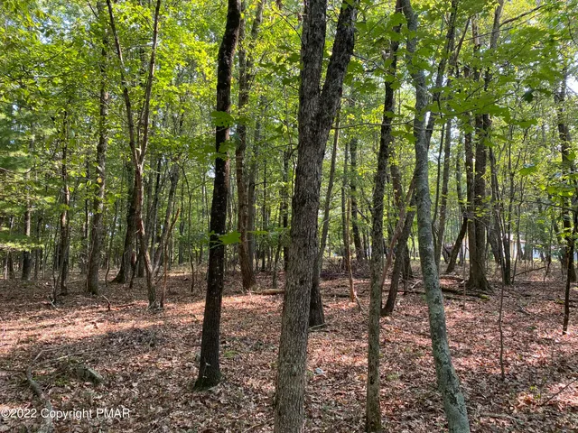 a view of outdoor space and trees
