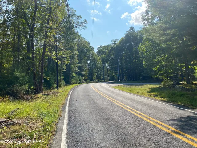 a view of a yard with large trees