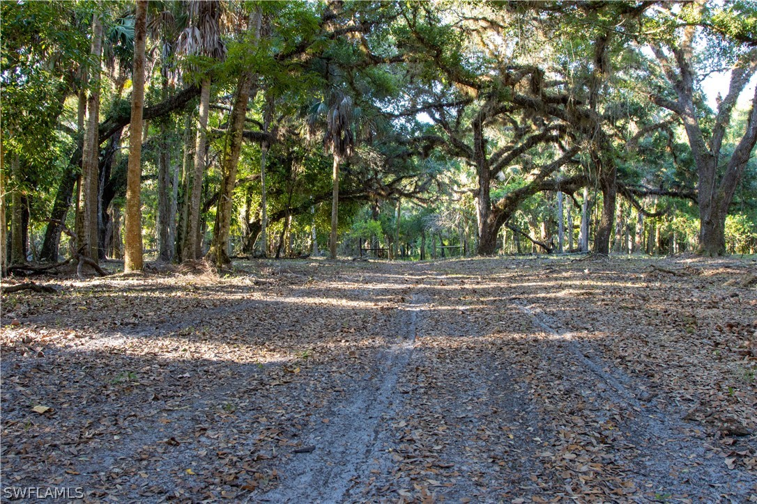 5400 Dana Road Fort Myers, FL 33905 - Photo 34 of 35 a view of dirt yard with trees