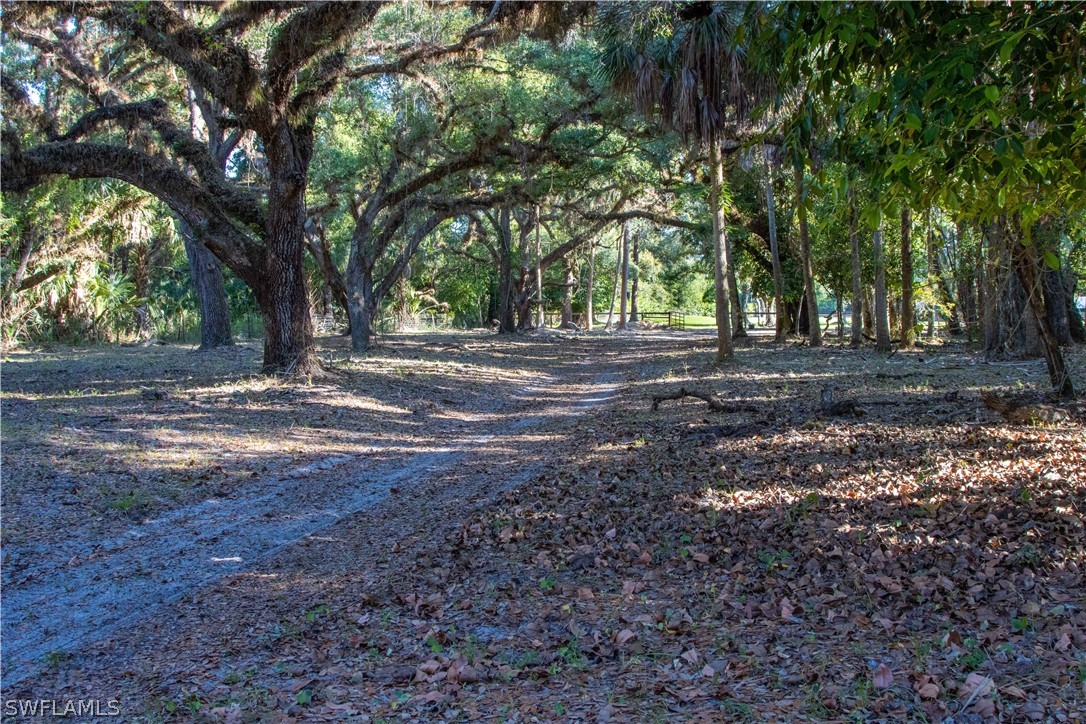 5400 Dana Road Fort Myers, FL 33905 - Photo 35 of 35 a view of dirt yard with large trees