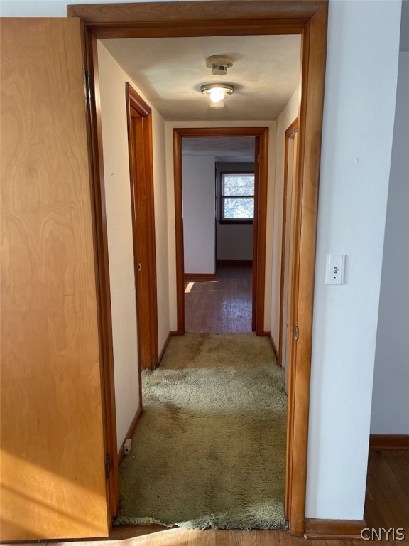 229 Willumae Drive Syracuse, NY 13208 - Photo 26 of 30 Upstairs hallway