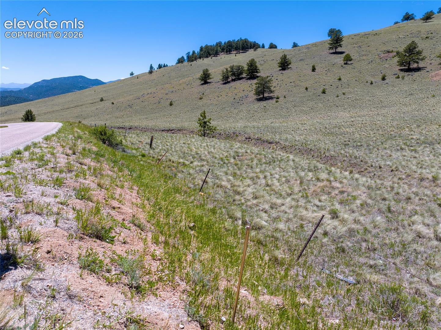 102 County Road Guffey, CO 80820 - Photo 16 of 25 Gallery Image 16