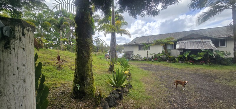11-3249 Palainui Street Mountain View, HI 96771 - Photo 3 of 8 a view of a garden