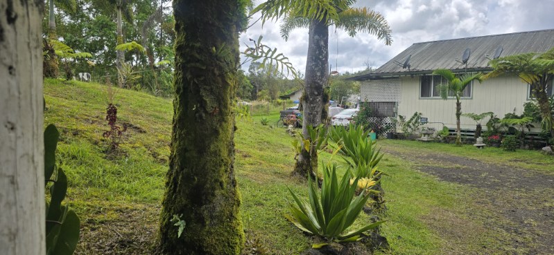 11-3249 Palainui Street Mountain View, HI 96771 - Photo 5 of 8 a view of a garden