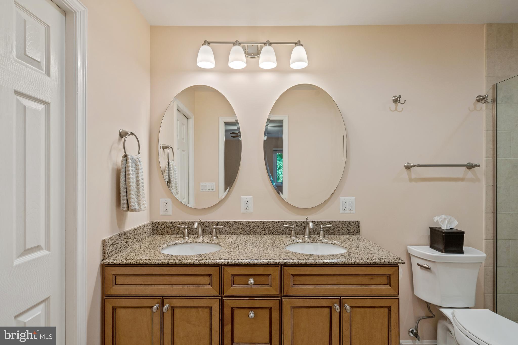 2401 Lakevale Drive Vienna, VA 22181 - Photo 32 of 61