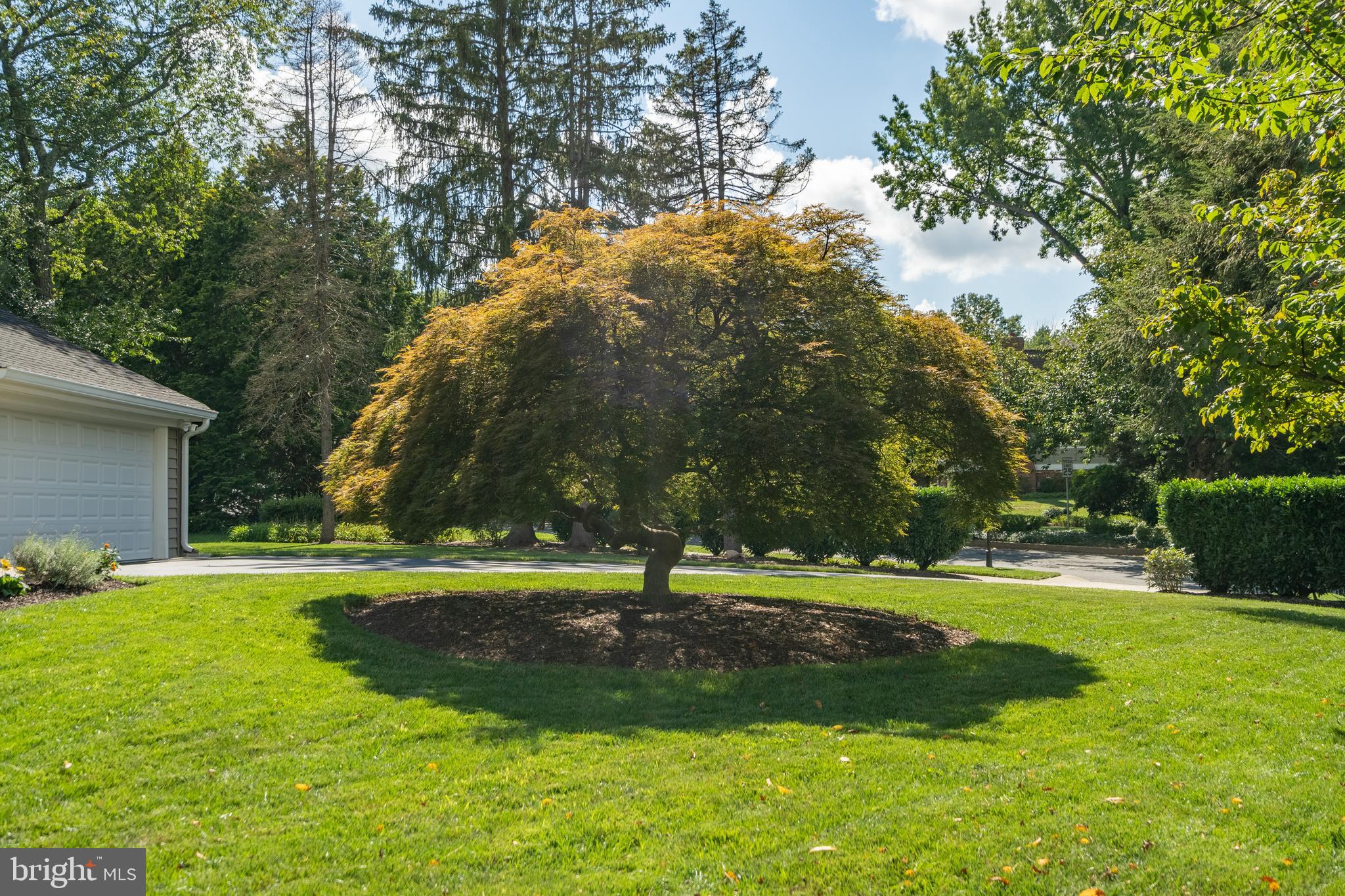2401 Lakevale Drive Vienna, VA 22181 - Photo 56 of 61