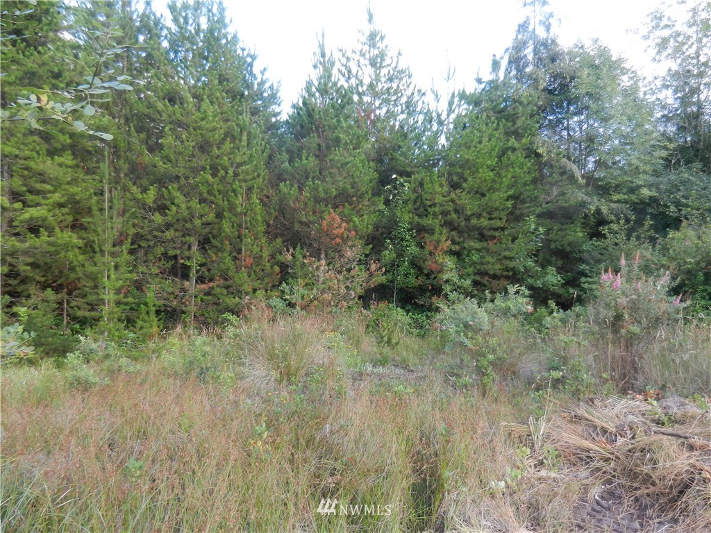 -xxxx Boone Road Toledo, WA 98591 - Photo 3 of 10