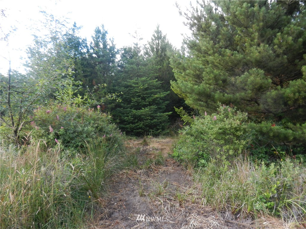 -xxxx Boone Road Toledo, WA 98591 - Photo 5 of 10