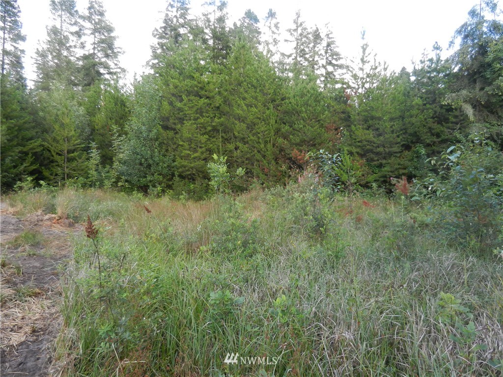 -xxxx Boone Road Toledo, WA 98591 - Photo 7 of 10