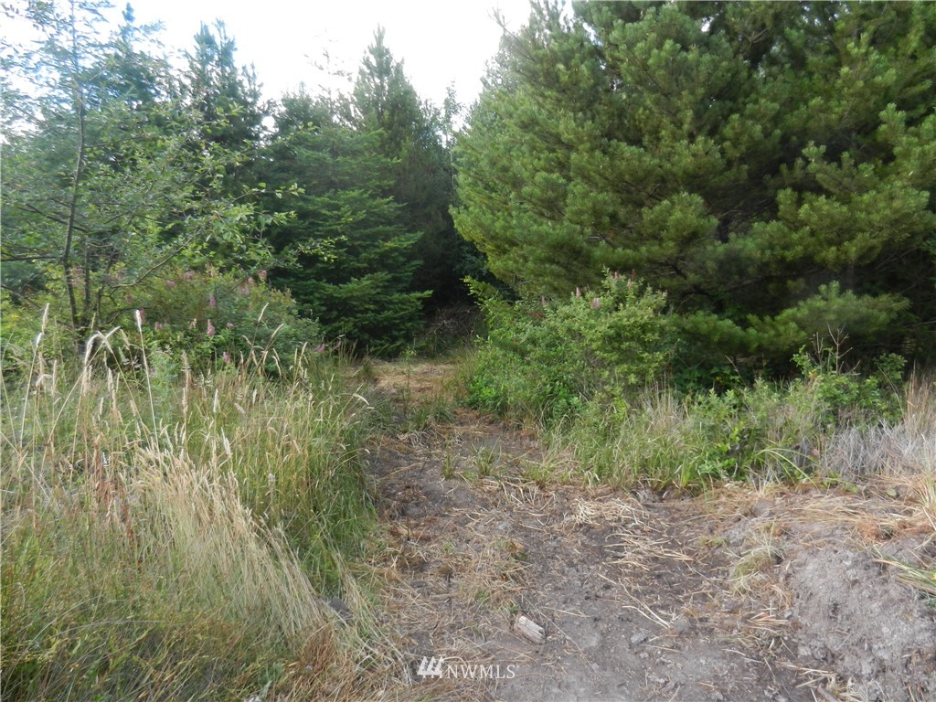 -xxxx Boone Road Toledo, WA 98591 - Photo 8 of 10