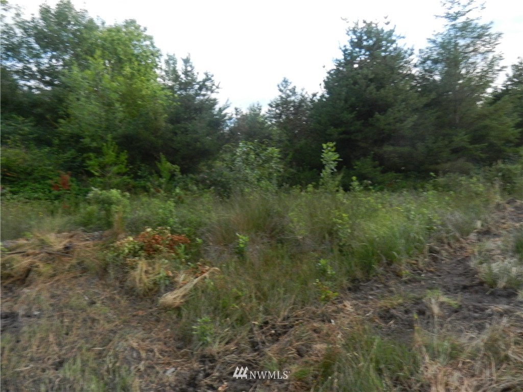 -xxxx Boone Road Toledo, WA 98591 - Photo 9 of 10