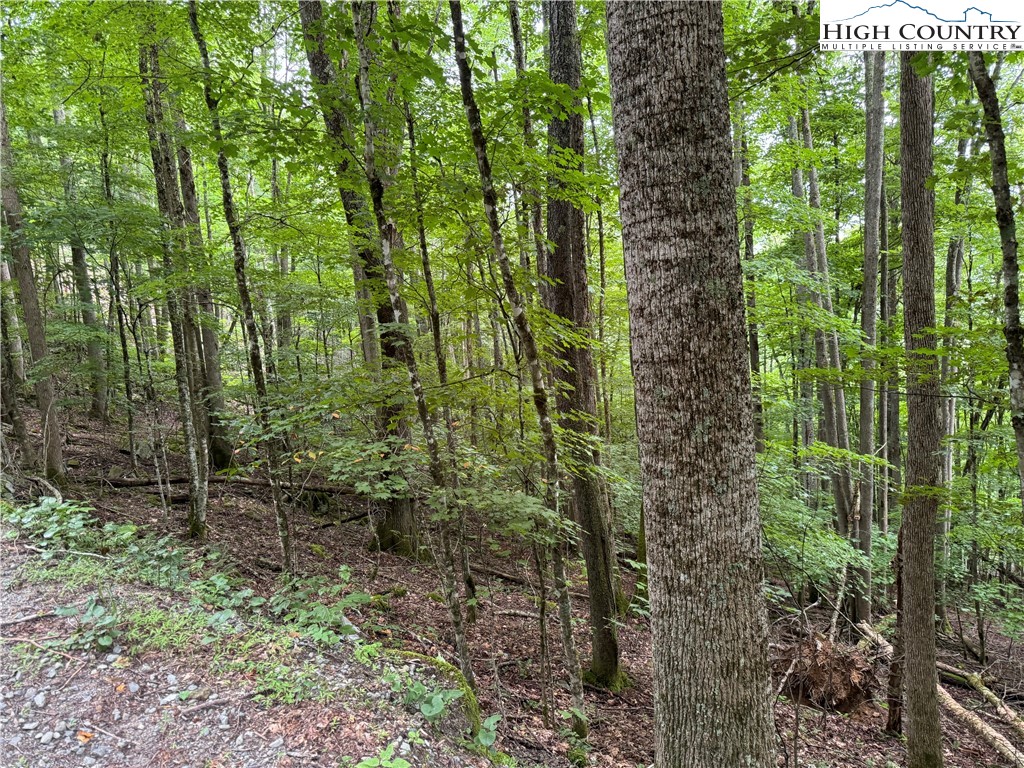 119 Raccoon Road Beech Mountain, NC 28604 - Photo 1 of 5