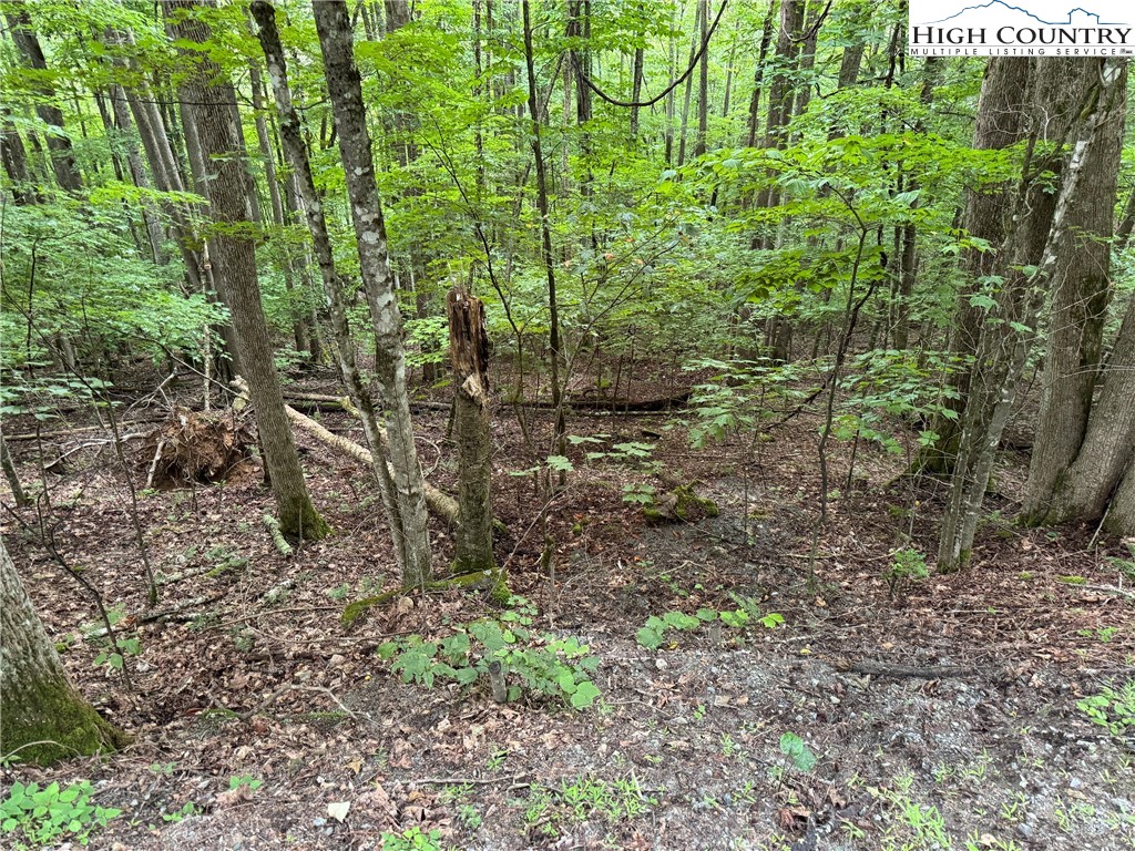 119 Raccoon Road Beech Mountain, NC 28604 - Photo 2 of 5
