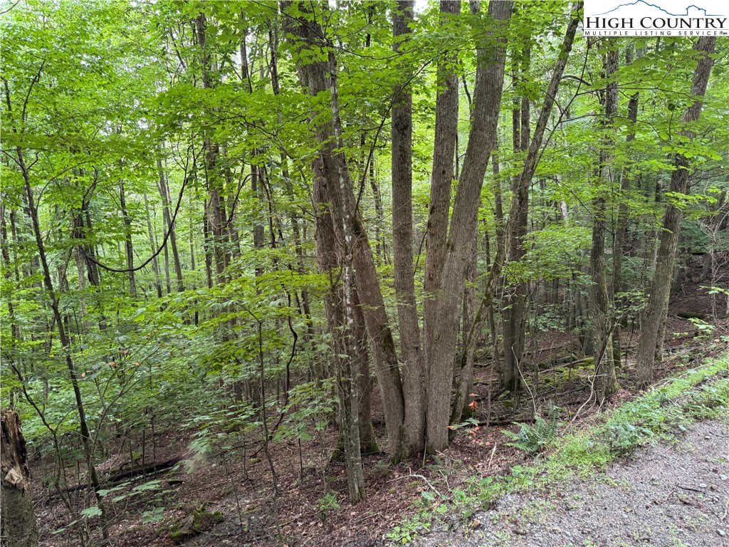 119 Raccoon Road Beech Mountain, NC 28604 - Photo 3 of 5